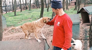 O Merkez Sahipsiz Canlara Umut Olmaya Devam Ediyor 