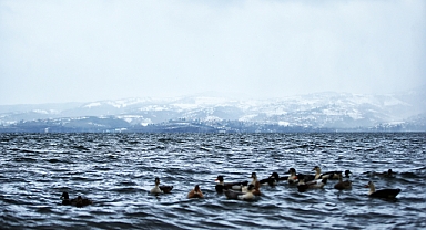 Sapanca Gölü’nün su seviyesi endişe edilecek düzeyde değil 