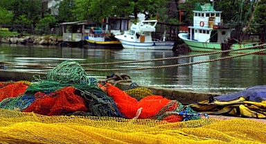 Karasu Somon Balığı İşleme Tesisi kurulacak 