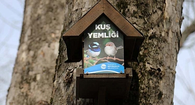 Büyükşehir'in kuş yemlikleri yürekleri ısıttı 