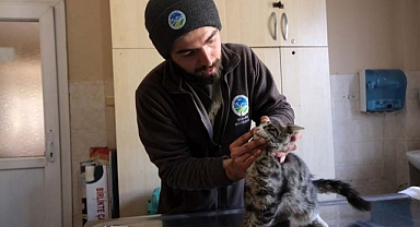 Büyükşehir veteriner ekibi Antakya’da can dostlarının yaralarını sarıyor 