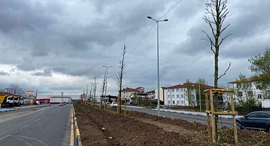 Büyükşehir’den Şehit İlhan Aras’ta ilkbahar dokunuşu 