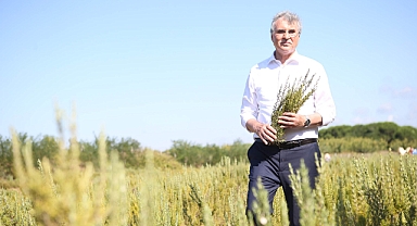 Başkan Yüce’den 1 Mayıs’ta önemli mesaj: 