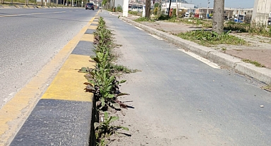 Bisiklet yolları yaza hazırlanıyor 