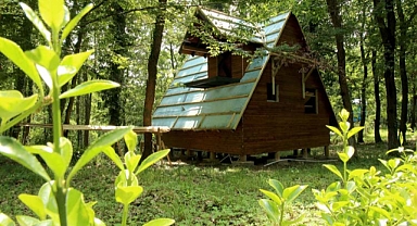 Büyükşehir'in bungalovları doğaya renk kattı: 4 tanesi tamam 