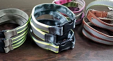 Kazaları önlemek için reflektörlü tasma diktiler 