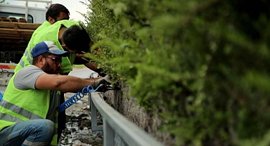 Sakarya'ya gelenler huzur veren bir görüntüyle karşılanacak 