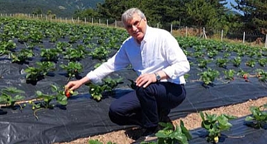 Başkan Yüce Çilek Üretim Merkezi’ni ziyaret etti: Bu yıl üretim hedeflerimizin üzerine çıkacağız 