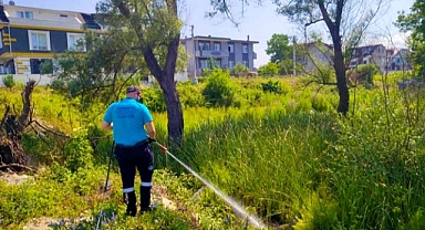 Büyükşehir 16 ilçenin tamamında vektörlerle mücadele ediyor  