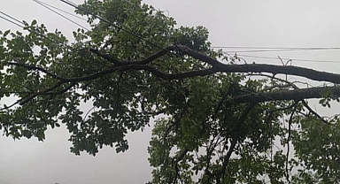 SEDAŞ sel felaketi sonucu oluşan hasarları hızla gideriyor 