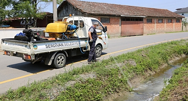 Serdivan Belediyesi İlaçlama Çalışmalarını Yoğunlaştırdı 