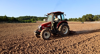 Başkan Yüce traktörün direksiyonuna geçti, çilek hasadına katıldı 