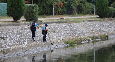 Çark Deresi ve çevresi Büyükşehir ekipleri ile daima temiz 