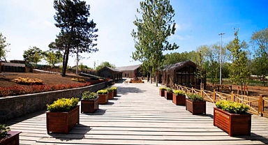 Doğa harikası Acarlar Longozu bu yaz turist akınına uğradı 