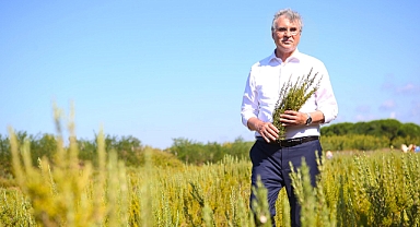 Yüce mecliste yeni unvan sinyali: Sakarya ‘Dünya Tarım Şehri’ oluyor 