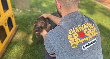 Alemdar’dan Hayvanları Koruma Günü Mesajı 