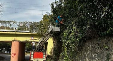 Sapanca Belediyesi’nden Ağaçlara Sonbahar Bakımı 