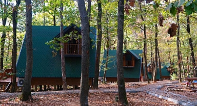 İl Ormanı’nda bungalov tatiline Büyükşehir güvencesi 