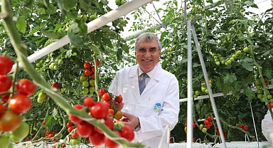 Ziraatçi başkanla Sakarya üretiyor Türkiye kazanıyor 