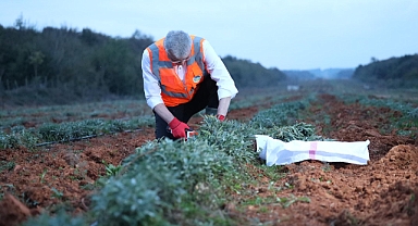 Toprağının bereketi Sakarya’yı dünya sahnesine taşıyor 