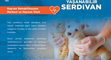 PATİLİ DOSTLARIMIZ İÇİN PROJEMİZ HAZIR 