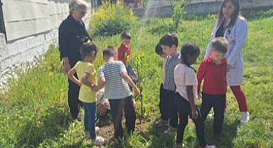 Başkan Şahin’e hediye edilen fidanlar, Sapanca’yı yeşillendirmeye başladı 