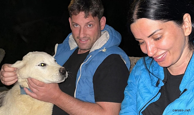 Aykut ve Melike Saban'dan sokak köpeklerine yönelik şiddete tepki