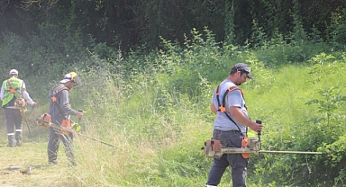 Serdivan’da Yabani Ot Temizliği Mesaisi 