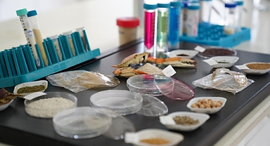 SAKARYA ÜNİVERSİTESİNDEN ÇEVREYE BİR KATKI DAHA : BİYOPOLİMERLER 