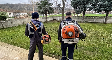 Serdivan'da Yeşil Alanlara Düzenli Bakım 