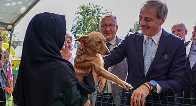 2024'te can dostların derdine deva hastalığına şifa oldular: Kedi, köpek, tavşan, sincap… 