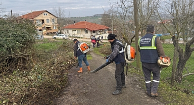 Meşeli Mahallesi’nde Yabani Ot Temizliği 