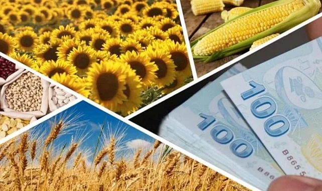 4,3 milyar TL'lik tarımsal destekler hesaplarda