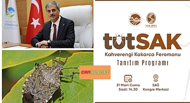 Kahverengi kokarca zararlısı için önemli adım