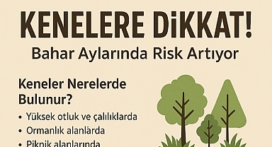 Küçük Ama Tehlikeli: Kene Isırıklarında Bilinmesi Gerekenler 