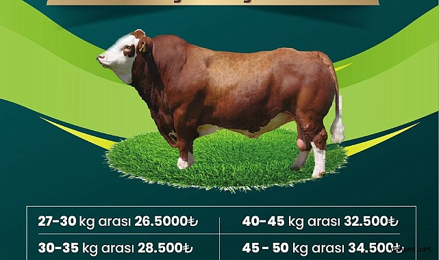Polatlar Çiftliği’nde kurbanlık satışları başladı