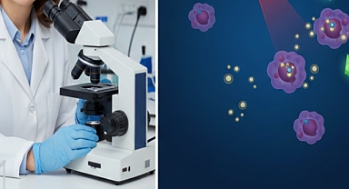 Bilim Dünyası Sakarya’yı İzliyor: Ftalosiyaninlerle Kansere Karşı Yeni Nesil Savaş 