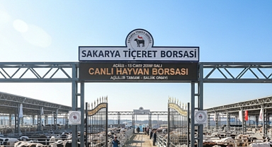 Sakarya Canlı Hayvan Borsası Yeniden Kapılarını Açıyor!