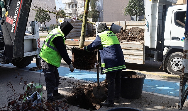 Sakarya’da Yeşil ve Sosyal Yaşam Alanları Artıyor 