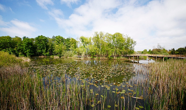 Sakarya’nın Yeşil Devleri Rekor Kırdı: 605 Bin Kişi Doğaya Koştu!