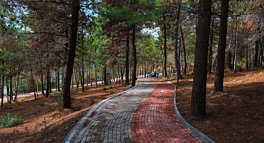 Sapanca Gölü'nde 'Huzur' Kapısı Aralandı: Serdivan Kıyısında Yeni Rota!