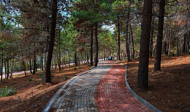 Sapanca Gölü'nde 'Huzur' Kapısı Aralandı: Serdivan Kıyısında Yeni Rota!