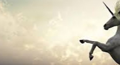 Türkiye'de Yapay Zeka Patlaması: 