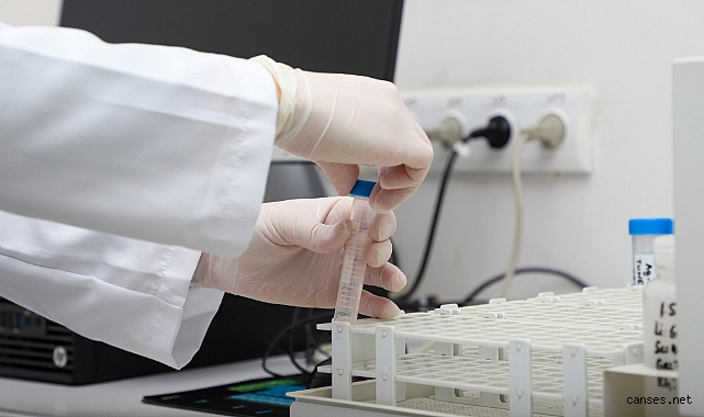 Sakarya Suyun Başkenti Oldu: Türkiye’nin En Ucuz 2. Suyu Musluktan Akıyor!