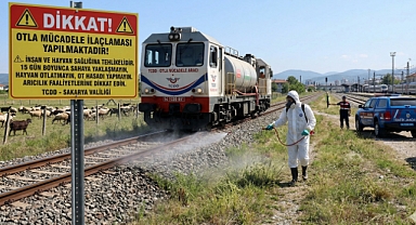 Sakarya'da Demiryolu Hattında Kritik İlaçlama Uyarısı! 