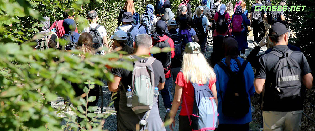 Doğanın Kalbine Yolculuk: İnönü ve Ercova’da Bahar Büyüsü! 