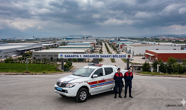 Sakarya'da İş ve Trafik Kazaları: Jandarmadan Acı Bilanço